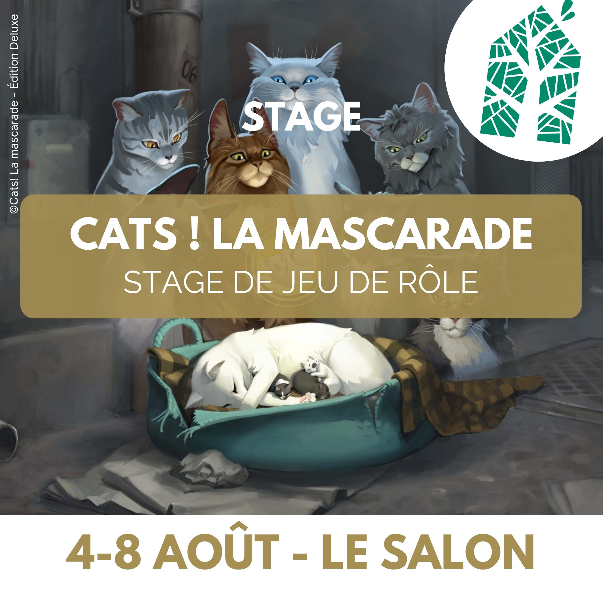 Stage de Jeu de Rôle à la Maison de l'Écologie Cats ! La mascarade